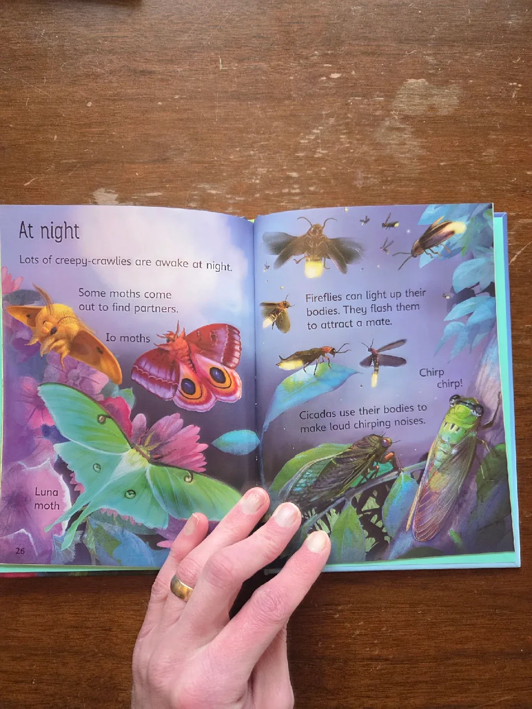 Big Selection of NEW Kids Books from Usborne! image indicator(7)