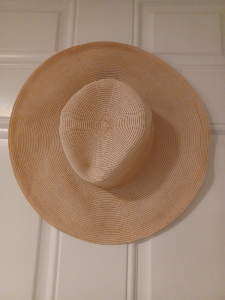 Assorted Women's Hats - photo 4