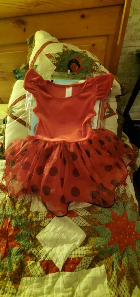 free costume maybe lady bug Gymboree Girls Red Dress Size 5-6 thumbnail