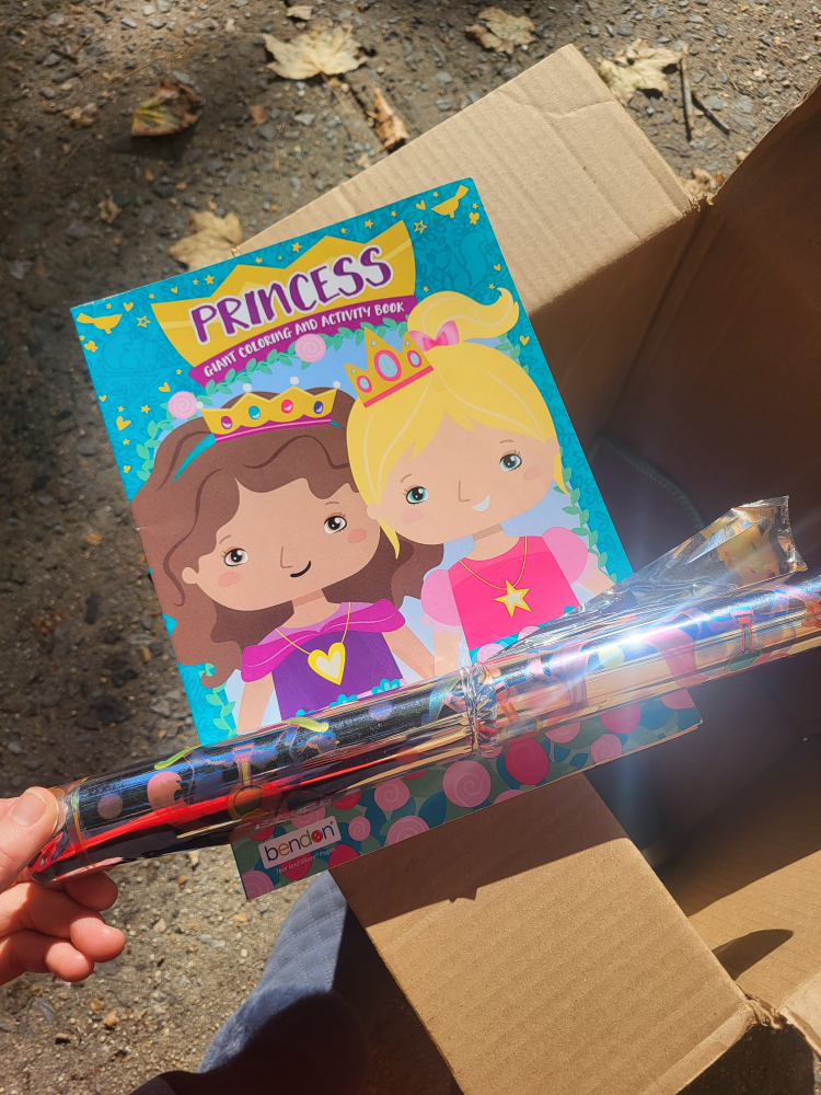Princess Giant Coloring & Activity Book + silver gift wrap