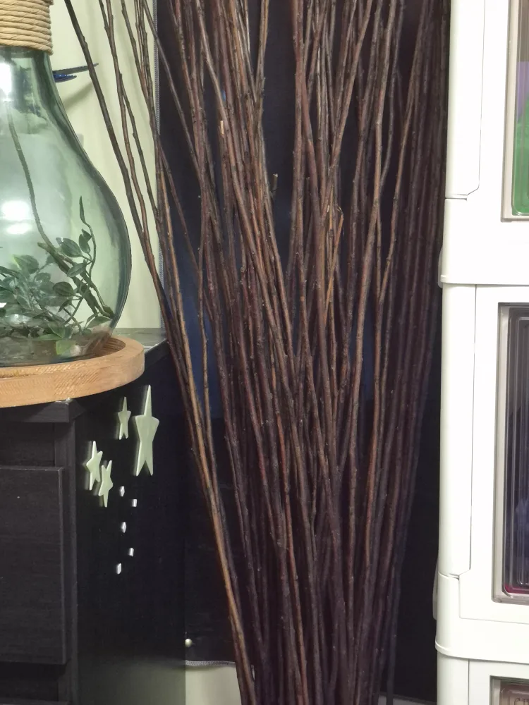 Decorative Birch Branches image indicator(2)