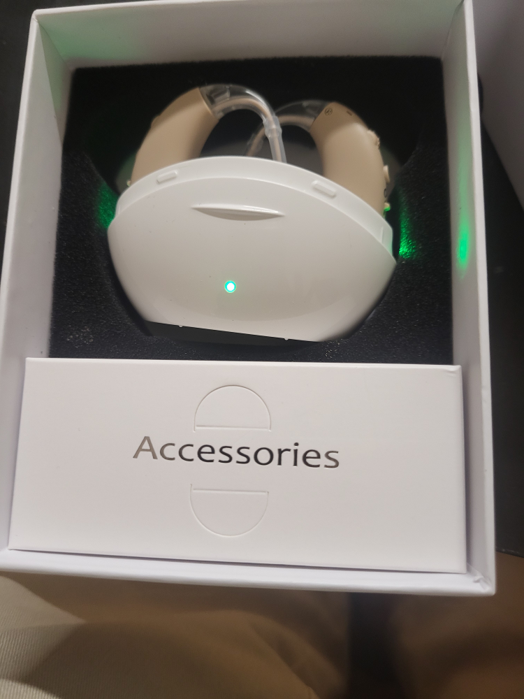 Hearing Amplifier - Behind the Ear