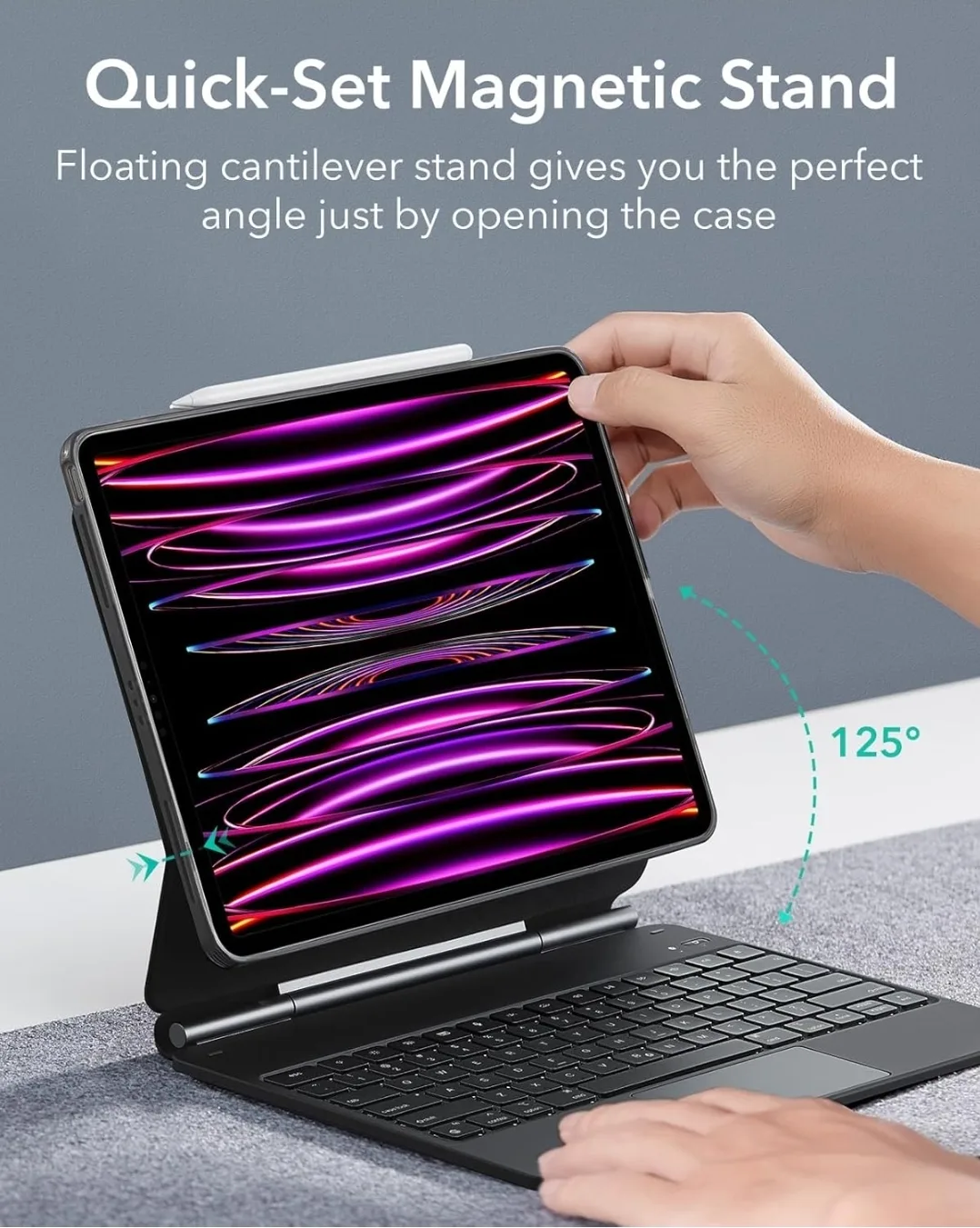 iPad Pro 12.9" Detachable Back Case image indicator(4)