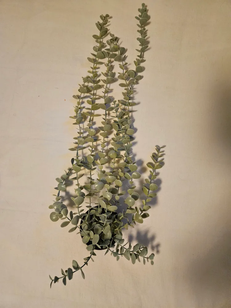 Ikea Artificial Plant with Pot - 9cm image indicator(2)