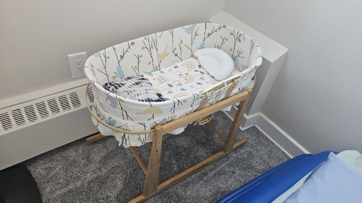 Baby Bassinet with Stand