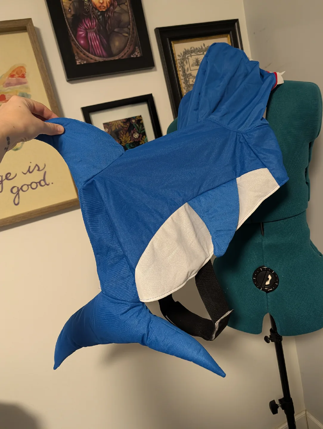 Shark Pet Bed image indicator(6)