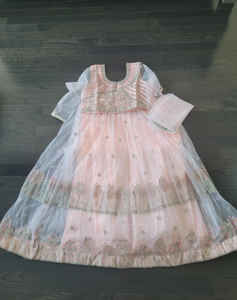 Pink Embroidered Lehenga Choli Set image indicator(3)