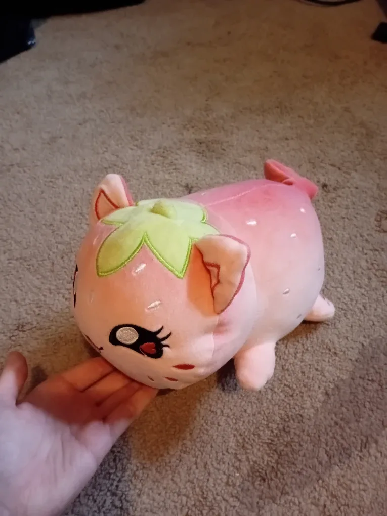 Aphmau MeMeows image indicator(2)