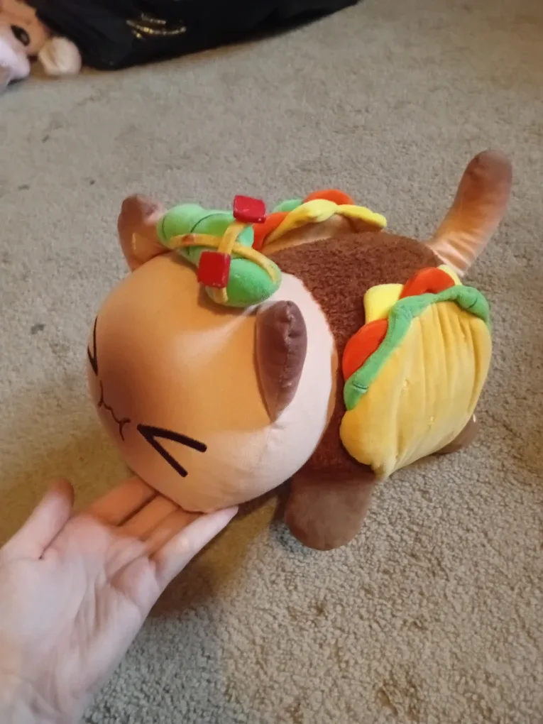 Aphmau MeMeows image indicator(6)