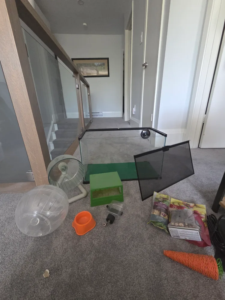 Hamster Cage & Accessories image indicator(2)