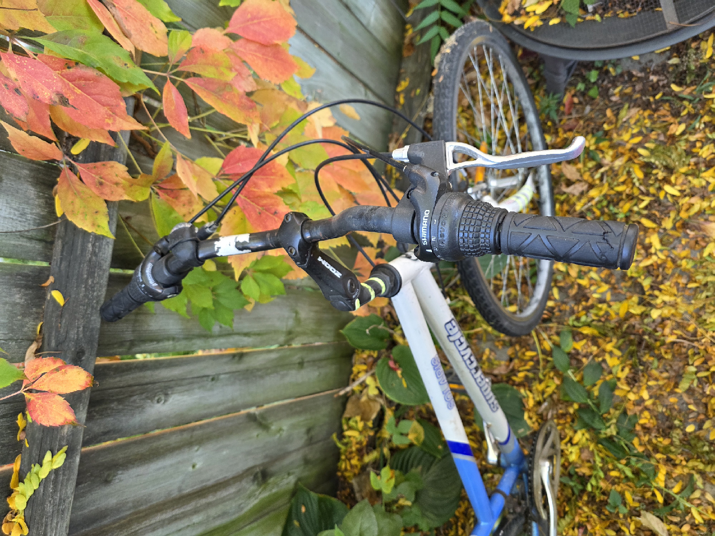 Supercycle Solaris Bike - Blue/Silver - photo 2