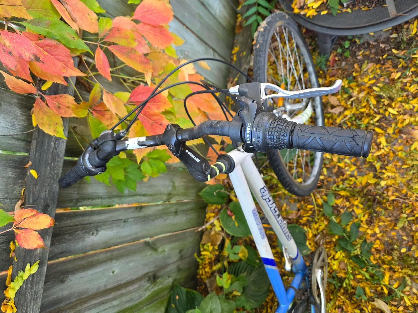 Supercycle Solaris Bike - Blue/Silver image indicator(2)