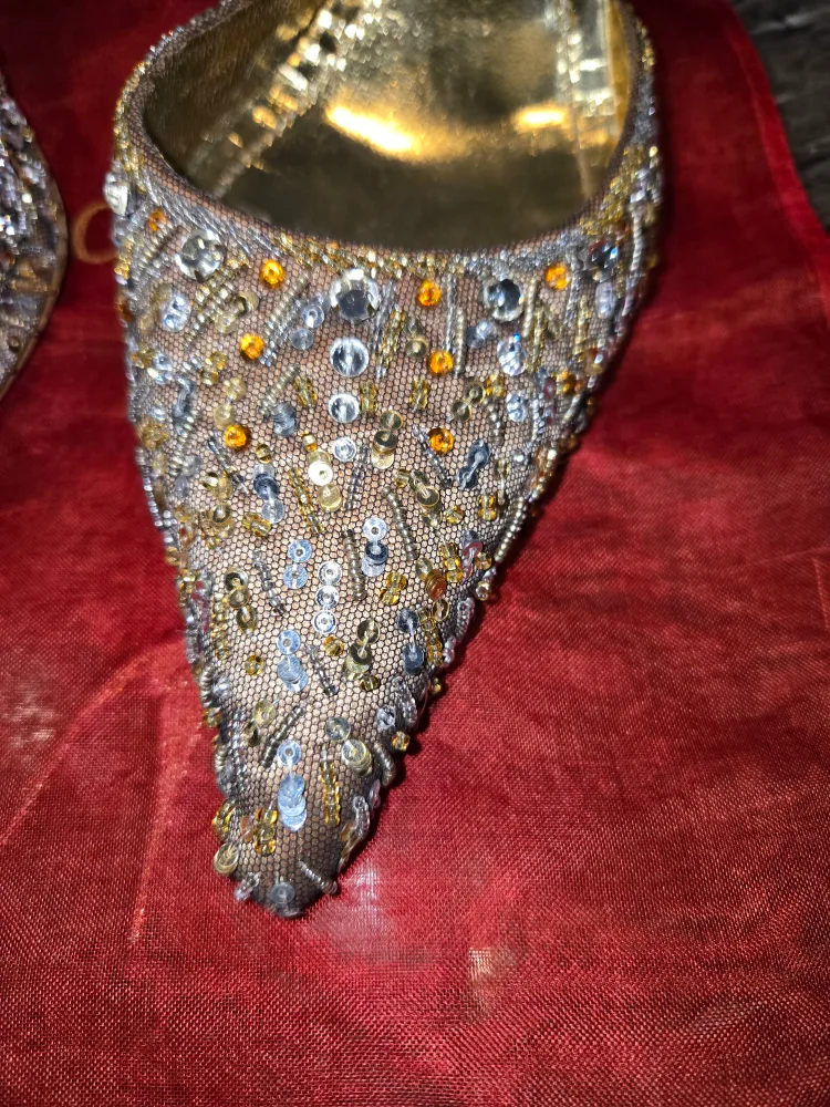 Rene Caovilla Embellished Slingback Heels image indicator(2)