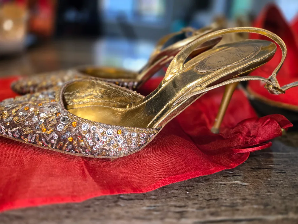 Rene Caovilla Embellished Slingback Heels image indicator(4)