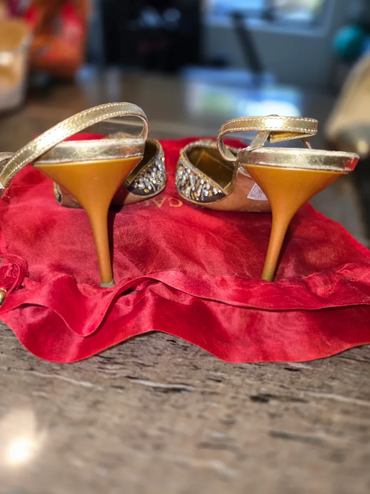 Rene Caovilla Embellished Slingback Heels image indicator(5)