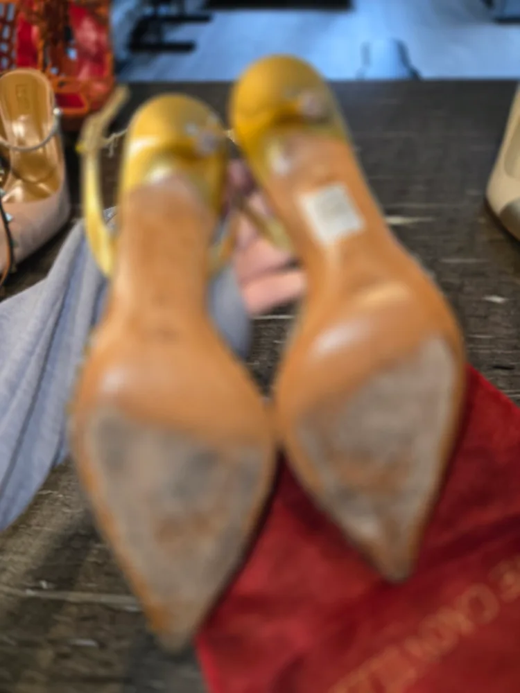 Rene Caovilla Embellished Slingback Heels image indicator(6)