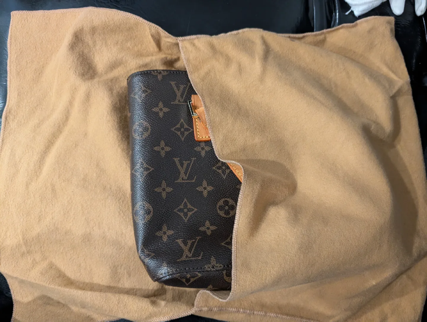 Louis Vuitton Monogram Canvas Handbag image indicator(6)