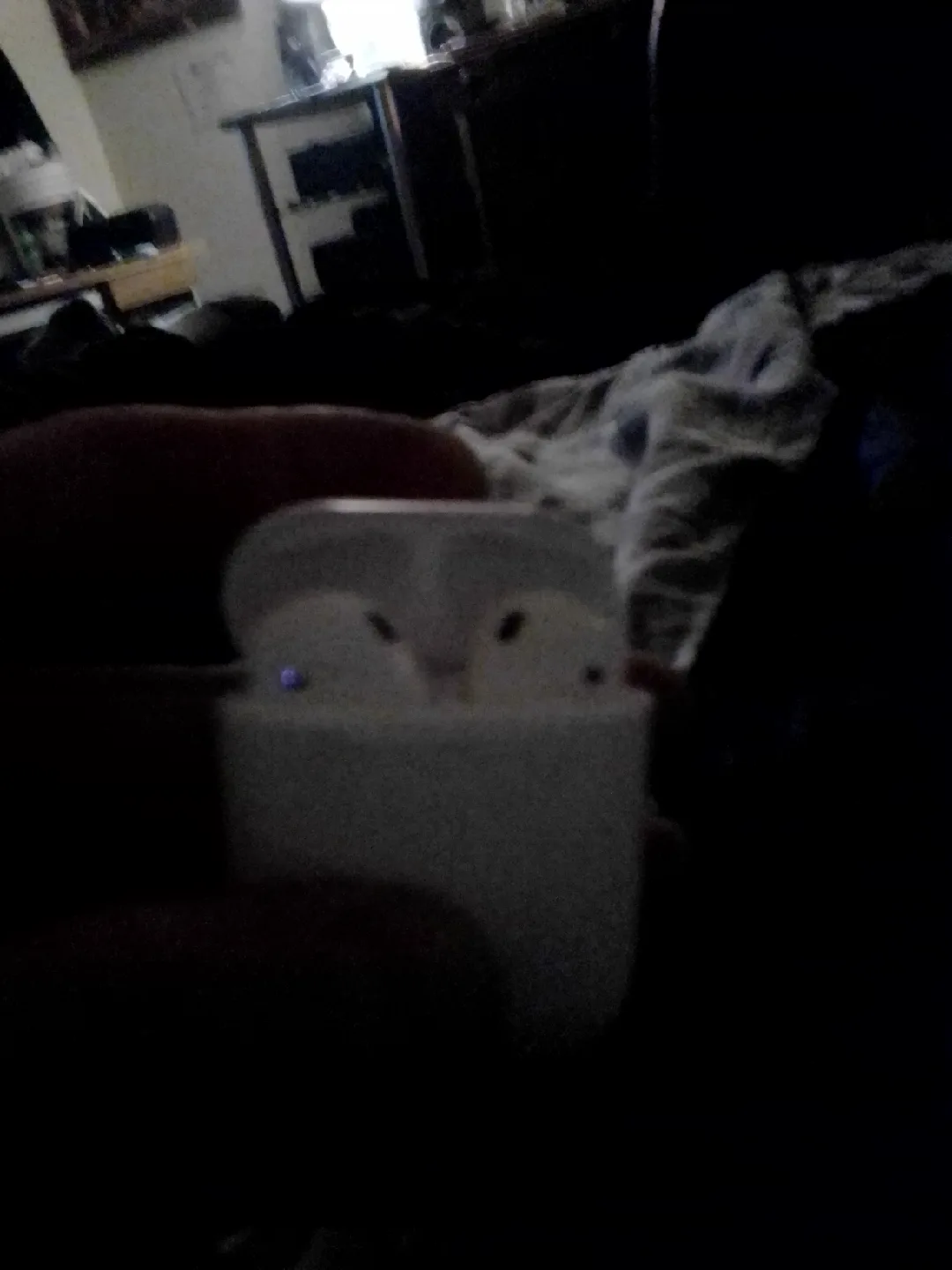 Apple AirPods 2st Generation image indicator(2)