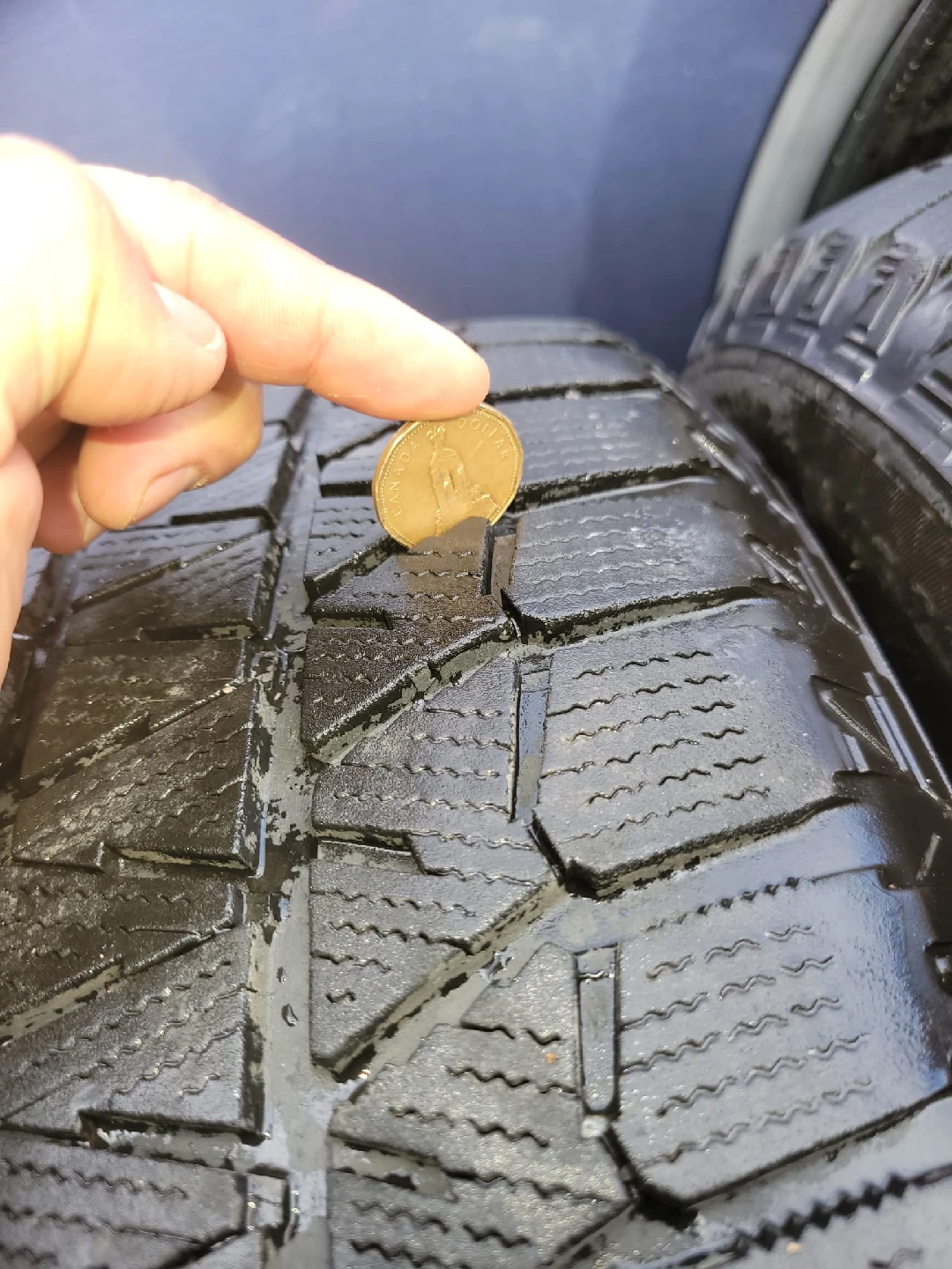 Bridgestone Blizzak DM-V2 Winter Tires - photo 5