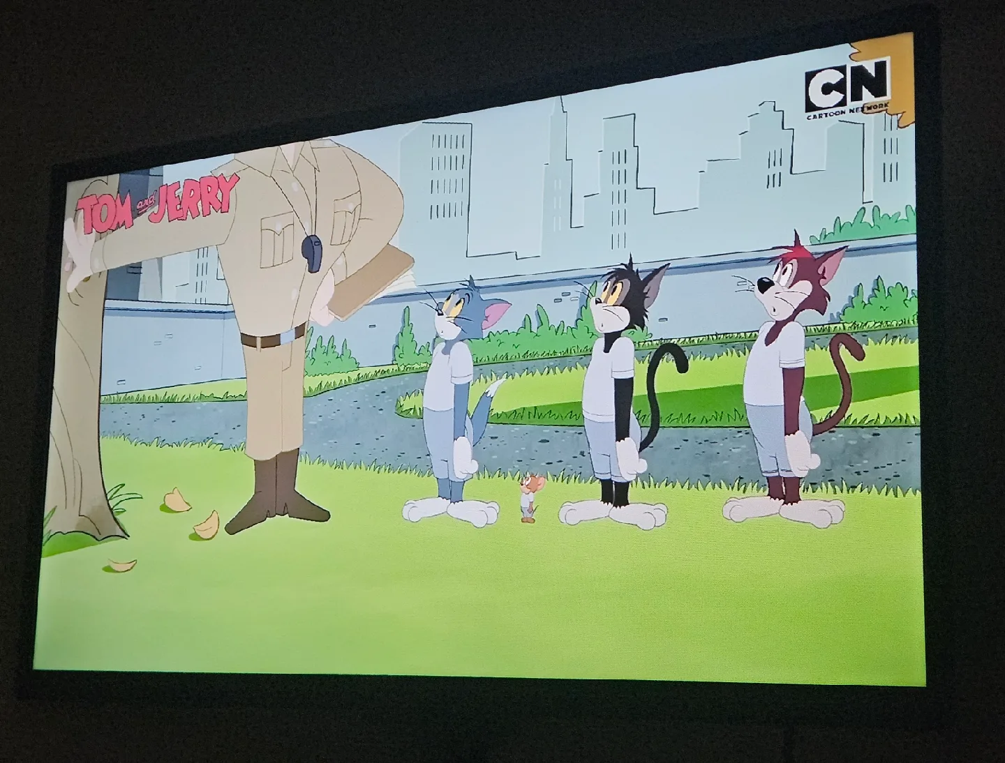 📺 Insignia Smart TV 30 inches with Wall Mount image indicator(2)