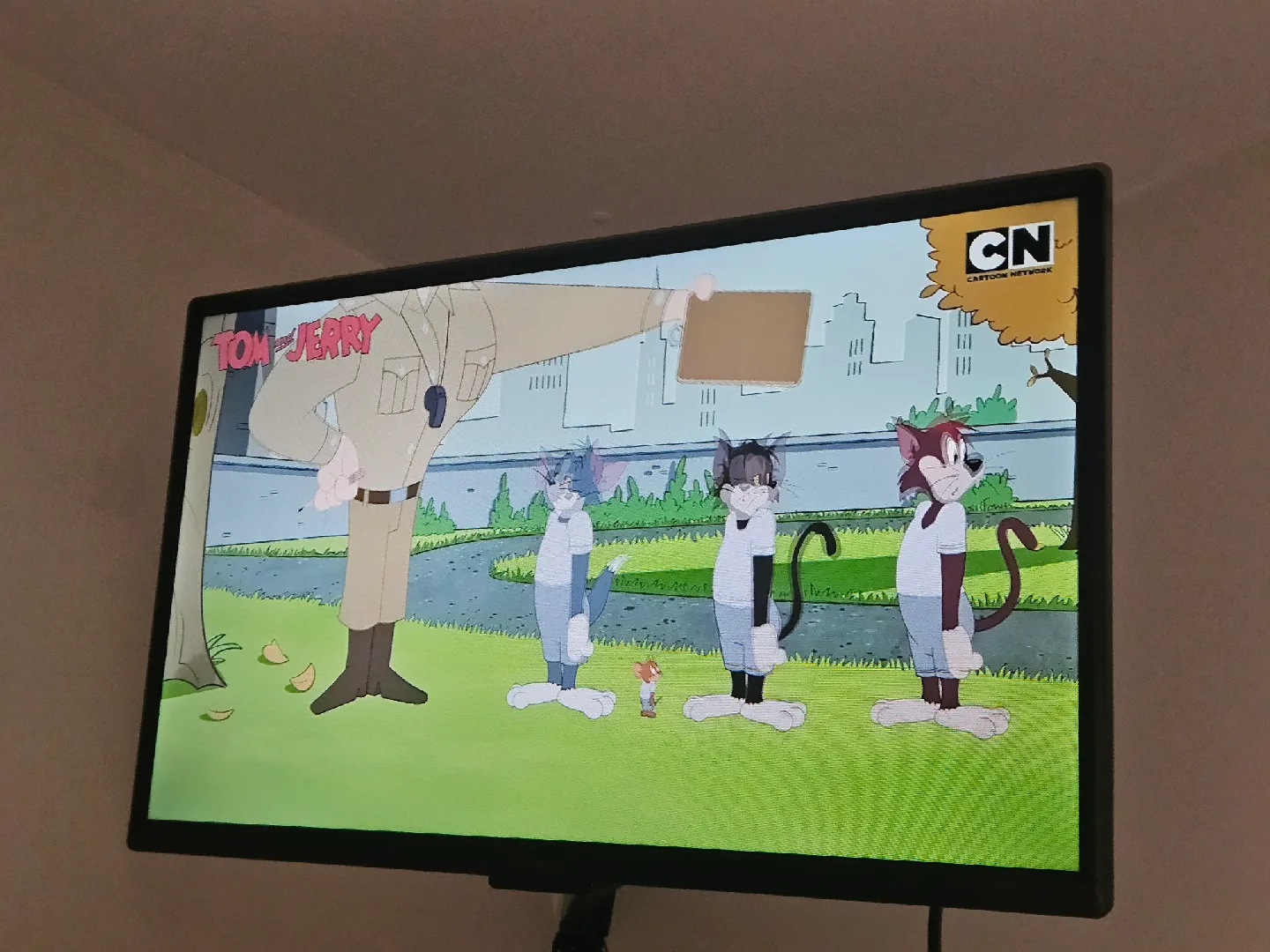 📺 Insignia Smart TV 30 inches with Wall Mount image indicator(3)