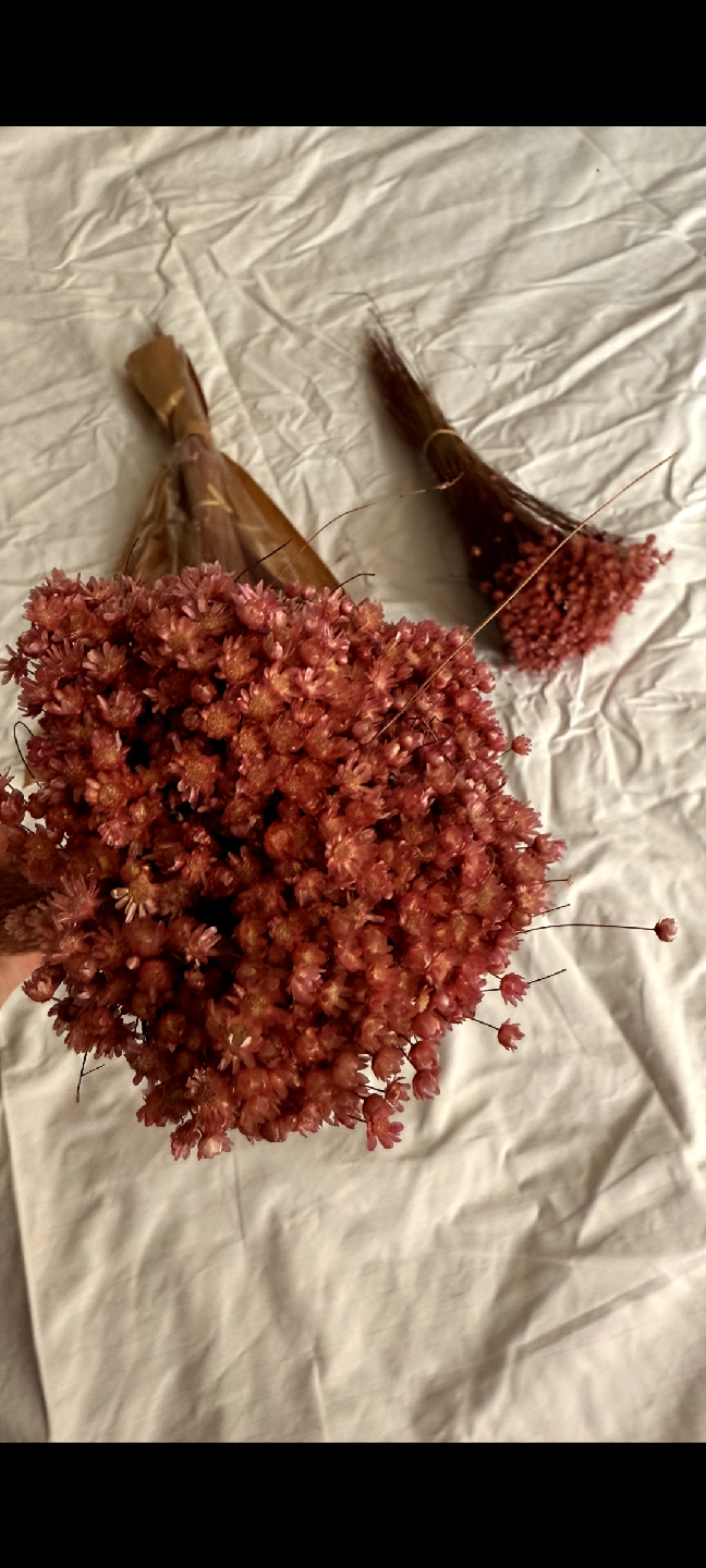 Dried flowers