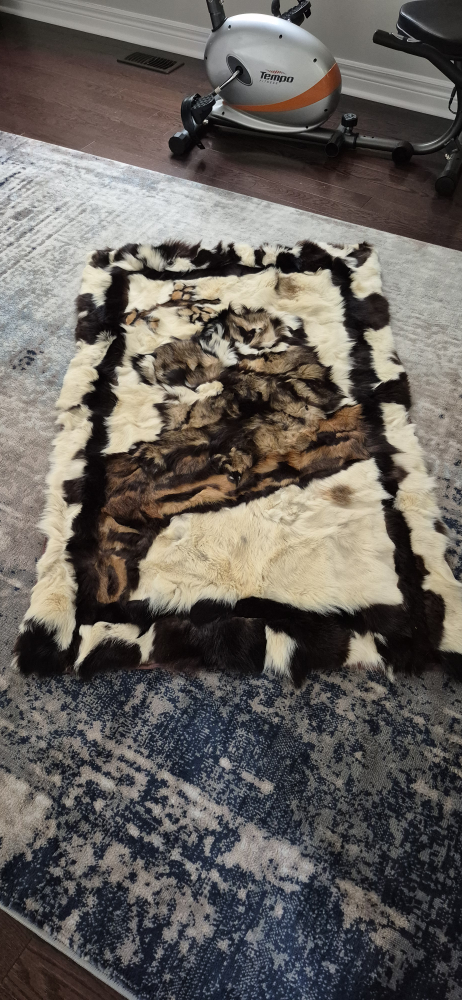 Koala Bears Sheepskin Fur Rug / Wall Hanging
