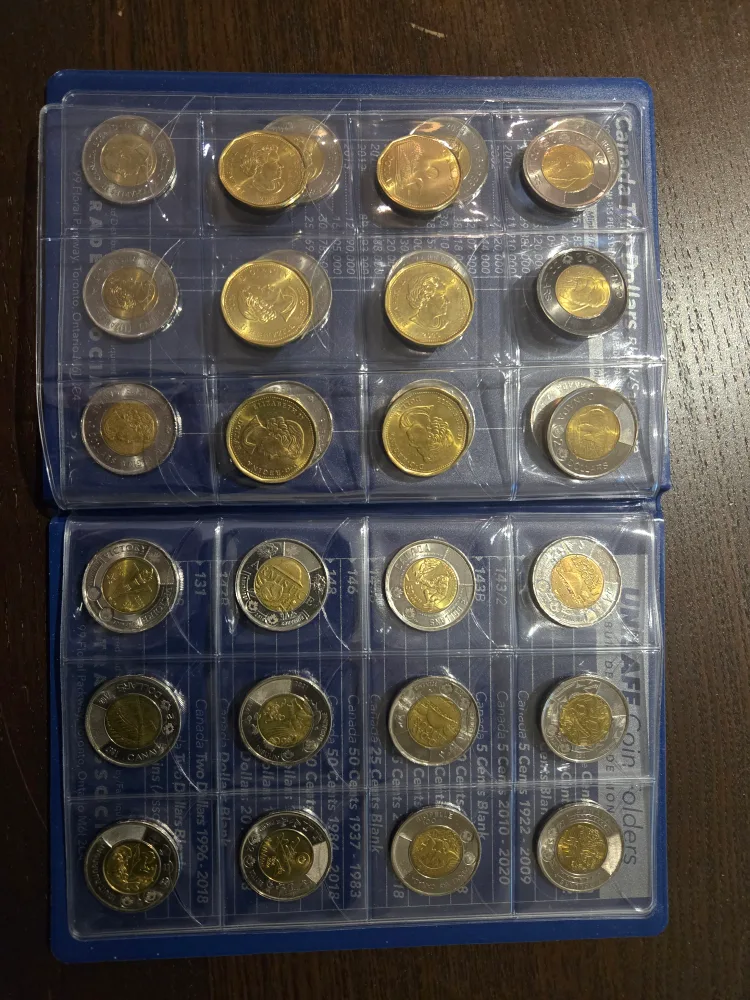 Canadian  Coin Collection image indicator(2)