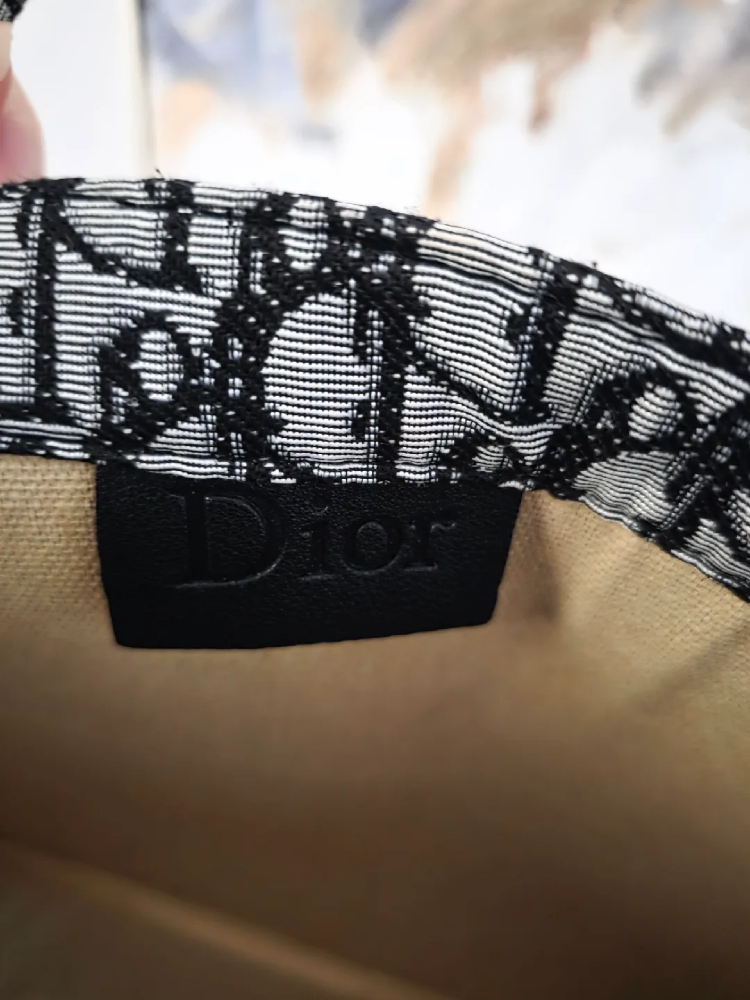 Christian Dior Book Tote Bag image indicator(2)