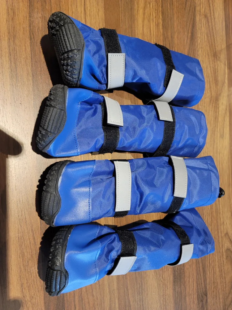 🥕 Blue Dog Boots image indicator(6)