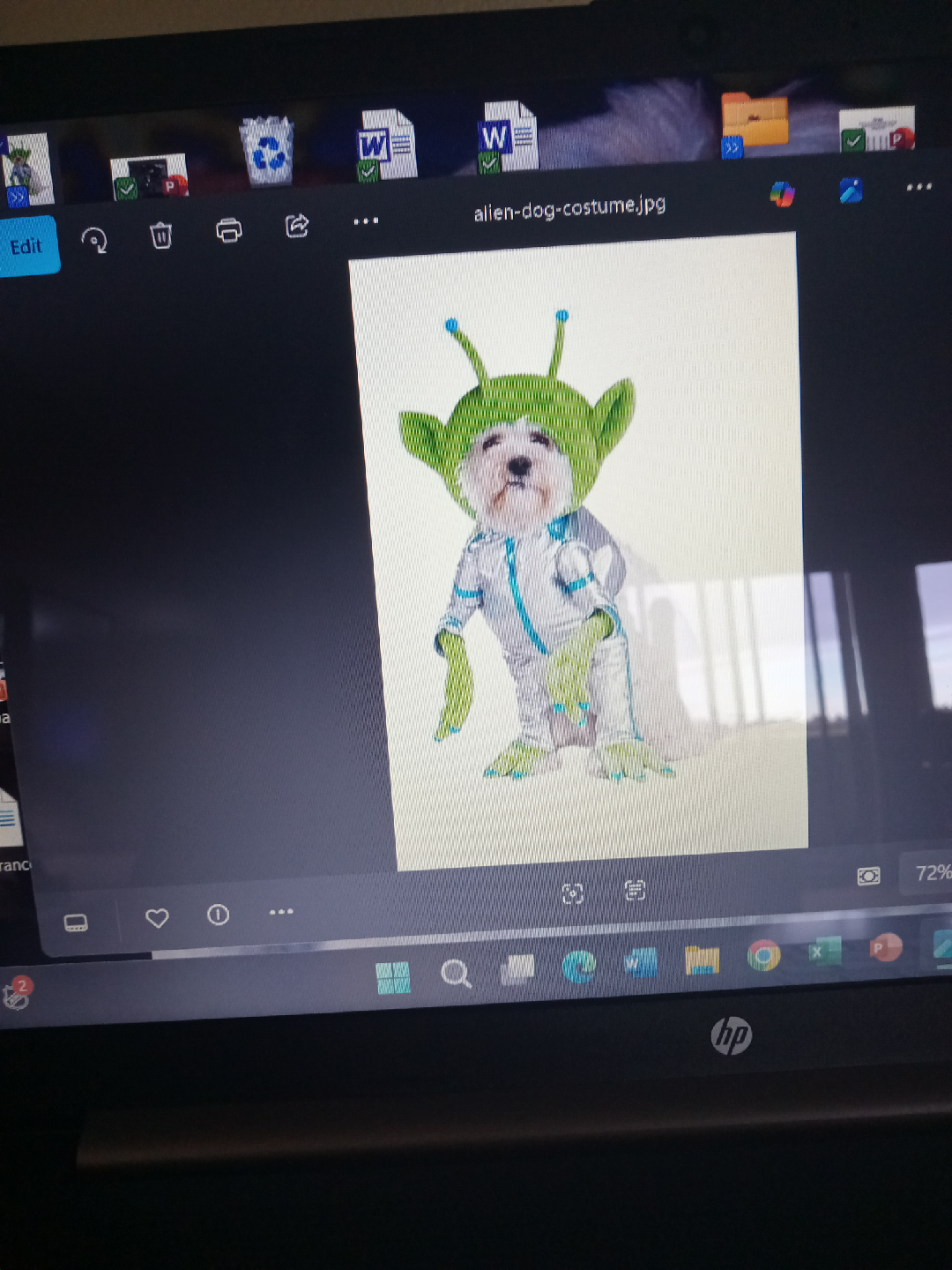 Alien dog Halloween costume - photo 2