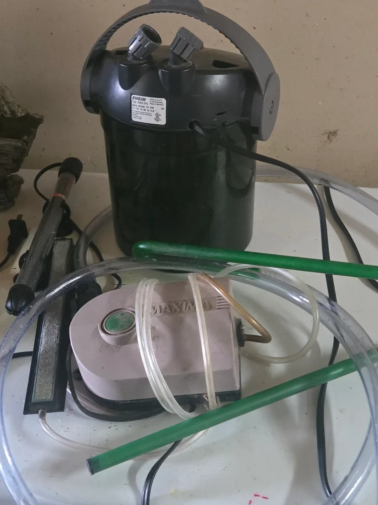 Fish Tank with Accessories image indicator(6)