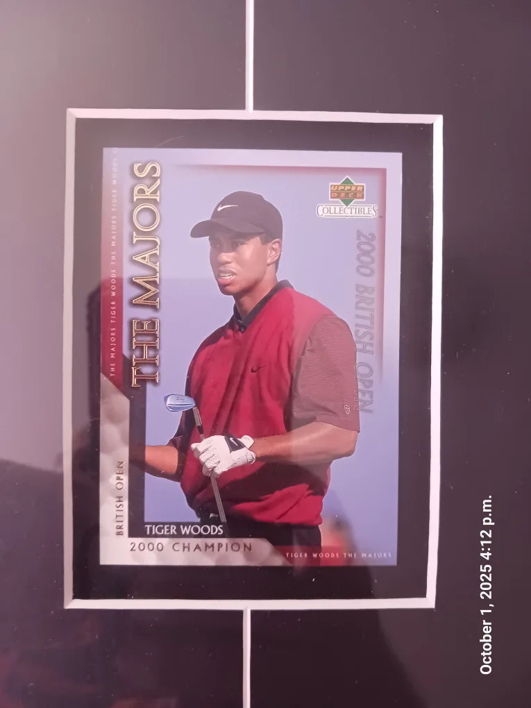 Tiger Woods 2000 Champion Framed Collectible image indicator(7)