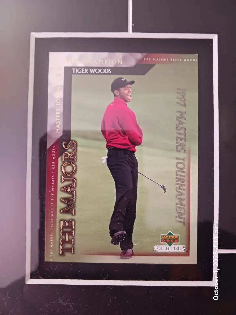 Tiger Woods 2000 Champion Framed Collectible image indicator(8)