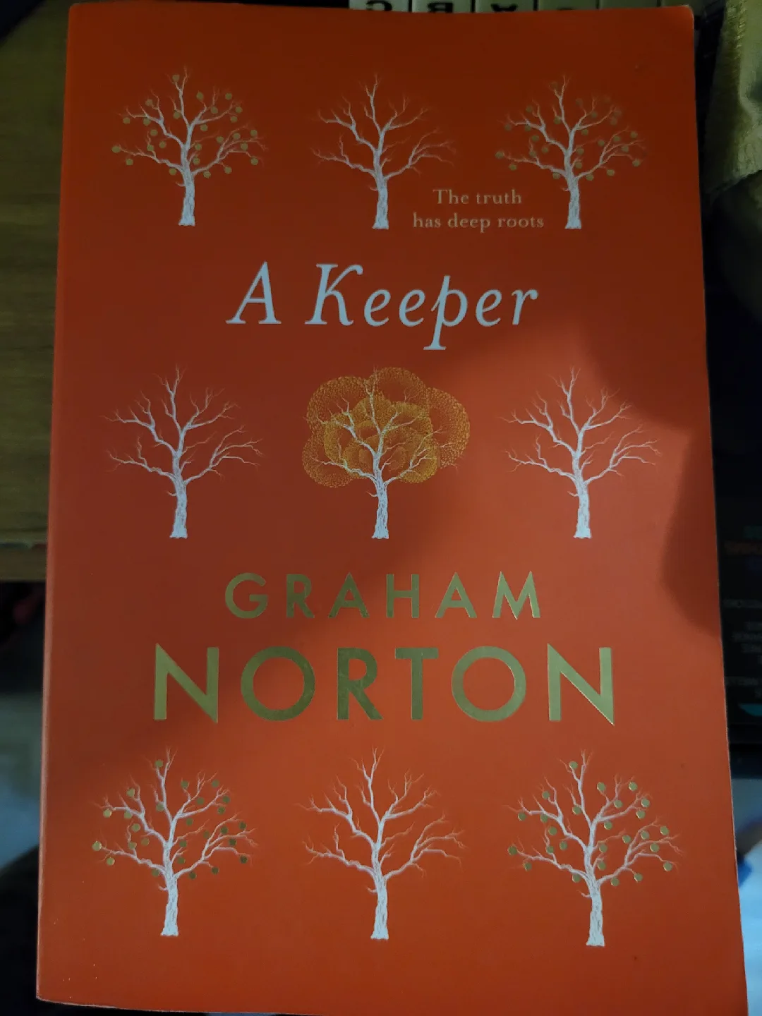 A Keeper by Graham Norton thumbnail