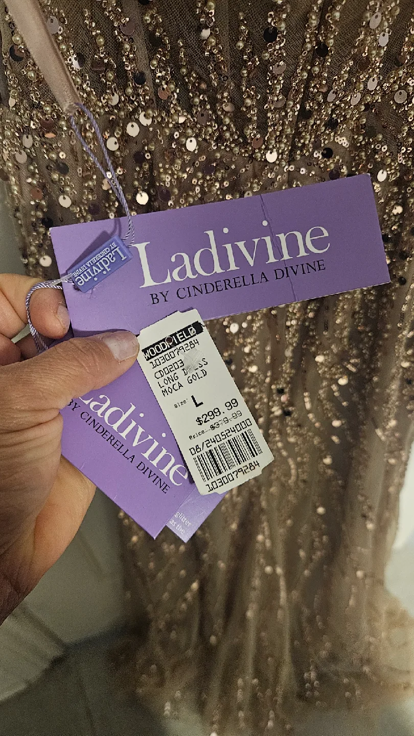 Ladivine by Cinderella Divine Moca Gold Long Dress L image indicator(3)