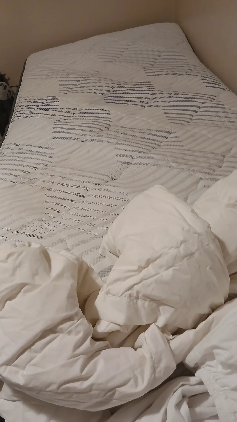 Twin Size Mattress and box spring with frame 350.00 image indicator(4)