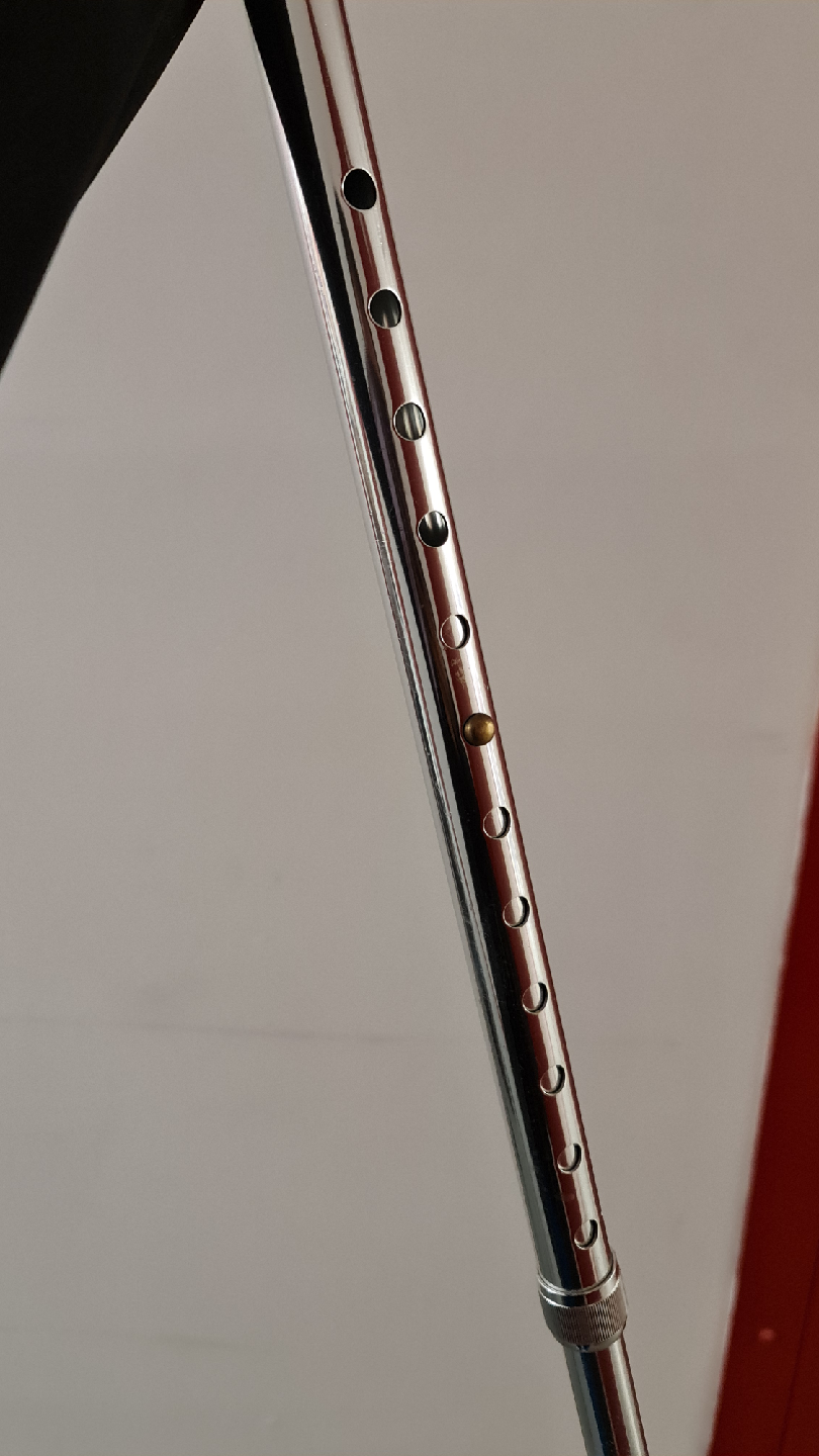 (Adjustable) Silver Walking Cane - photo 4