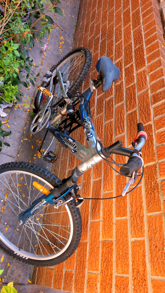 Infinity 21 Speed Mountain Bike