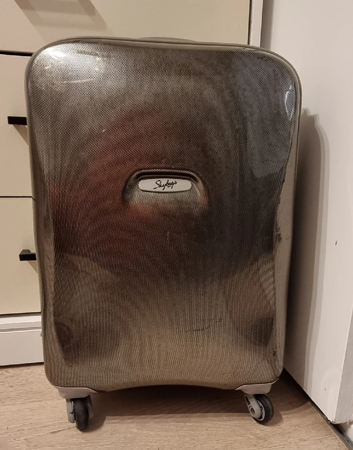 Skybags Trolley Suitcase thumbnail