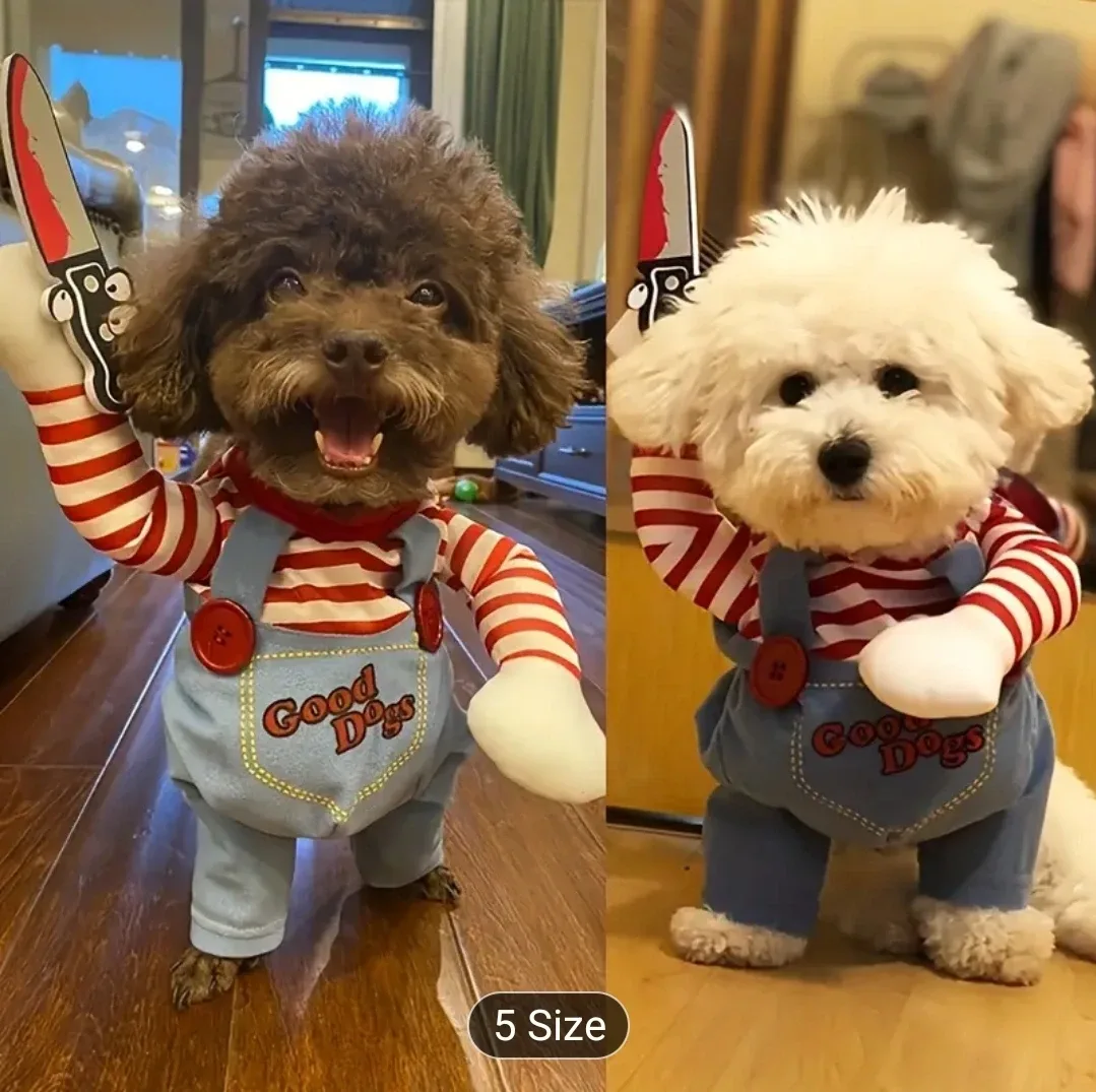 Dog Halloween Costume - Size 5 thumbnail