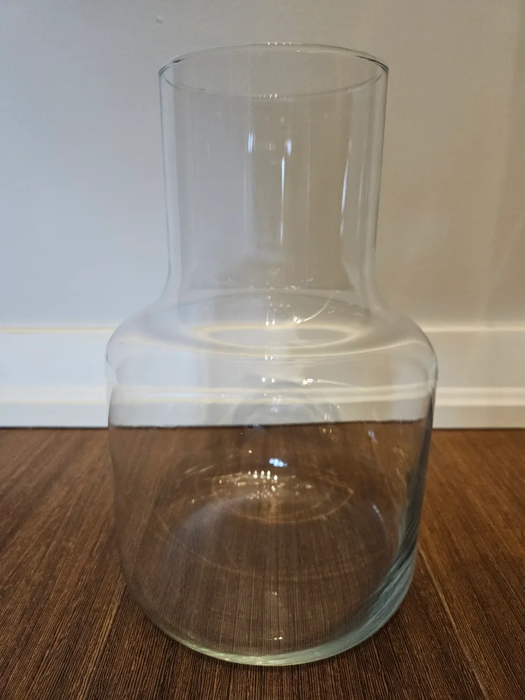 Glass Carafe Vase image indicator(2)