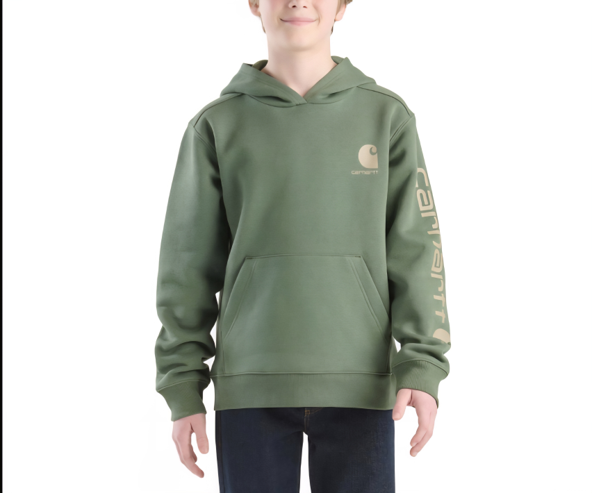BNWT Carhartt Relaxed Fit Fleece Graphic Hoodie Green