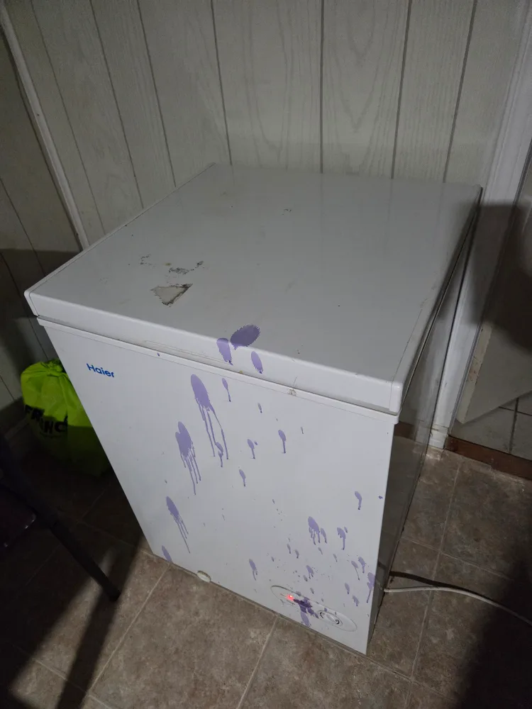 Haier Chest Freezer
