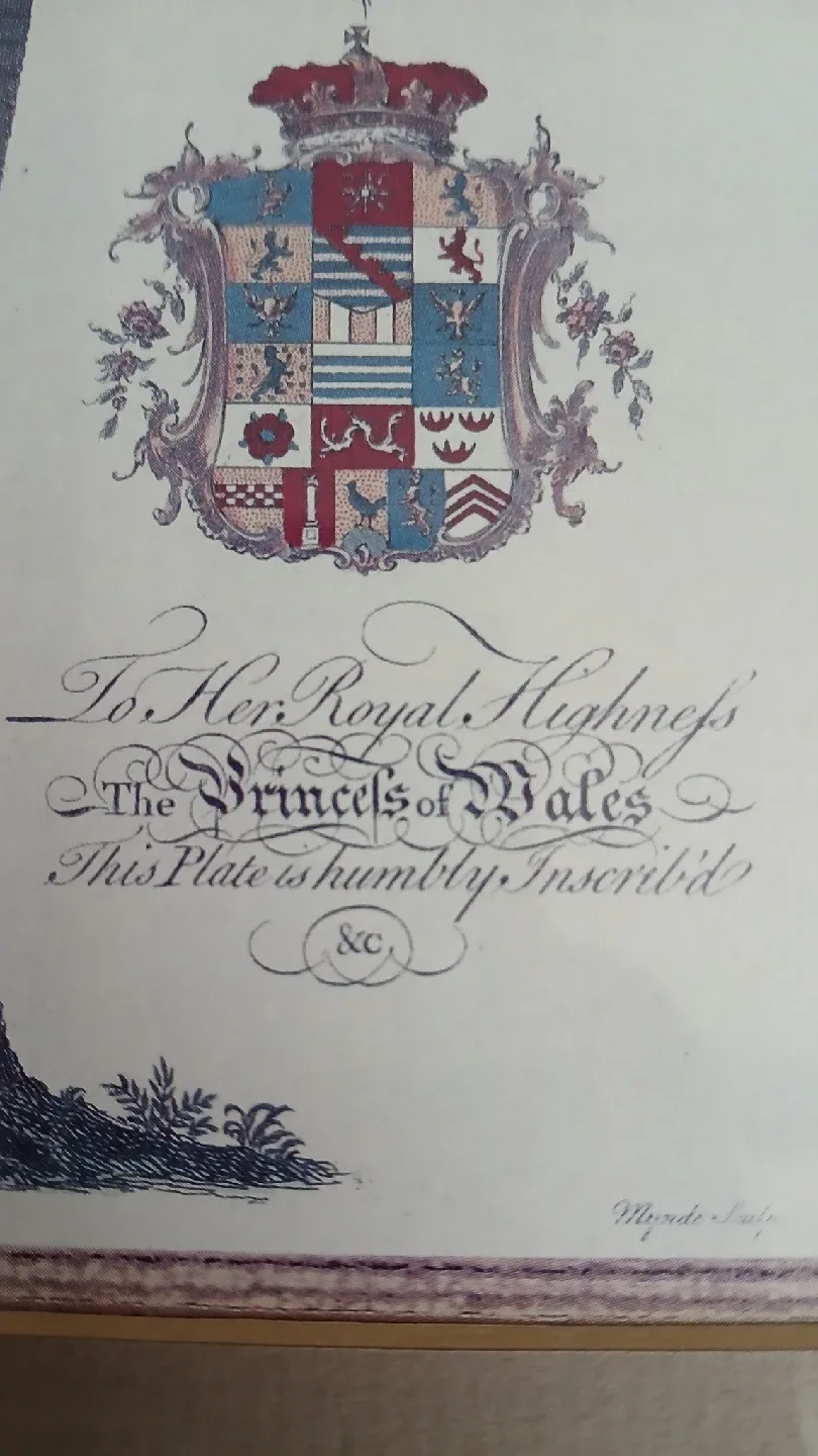 palm tree framed print for  $10.00 image indicator(2)