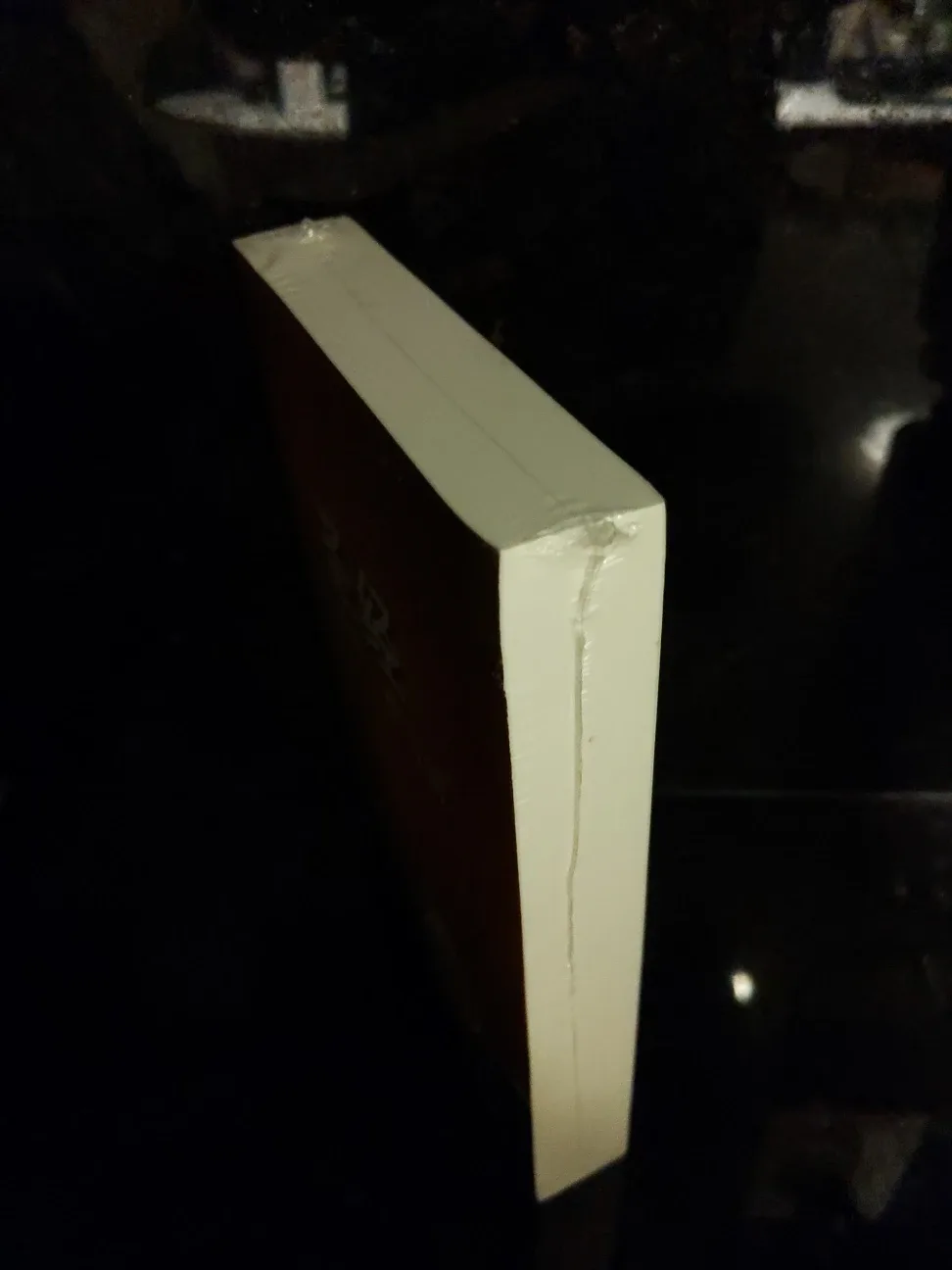 圣经当代译本  Zondervan  Chinese Bible Large Print, Paperback image indicator(3)