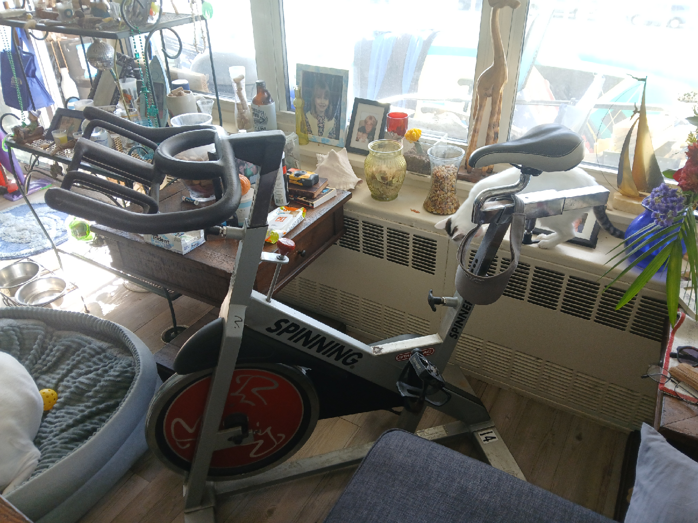 Spinning Stationary Exercise Bike/pro model
