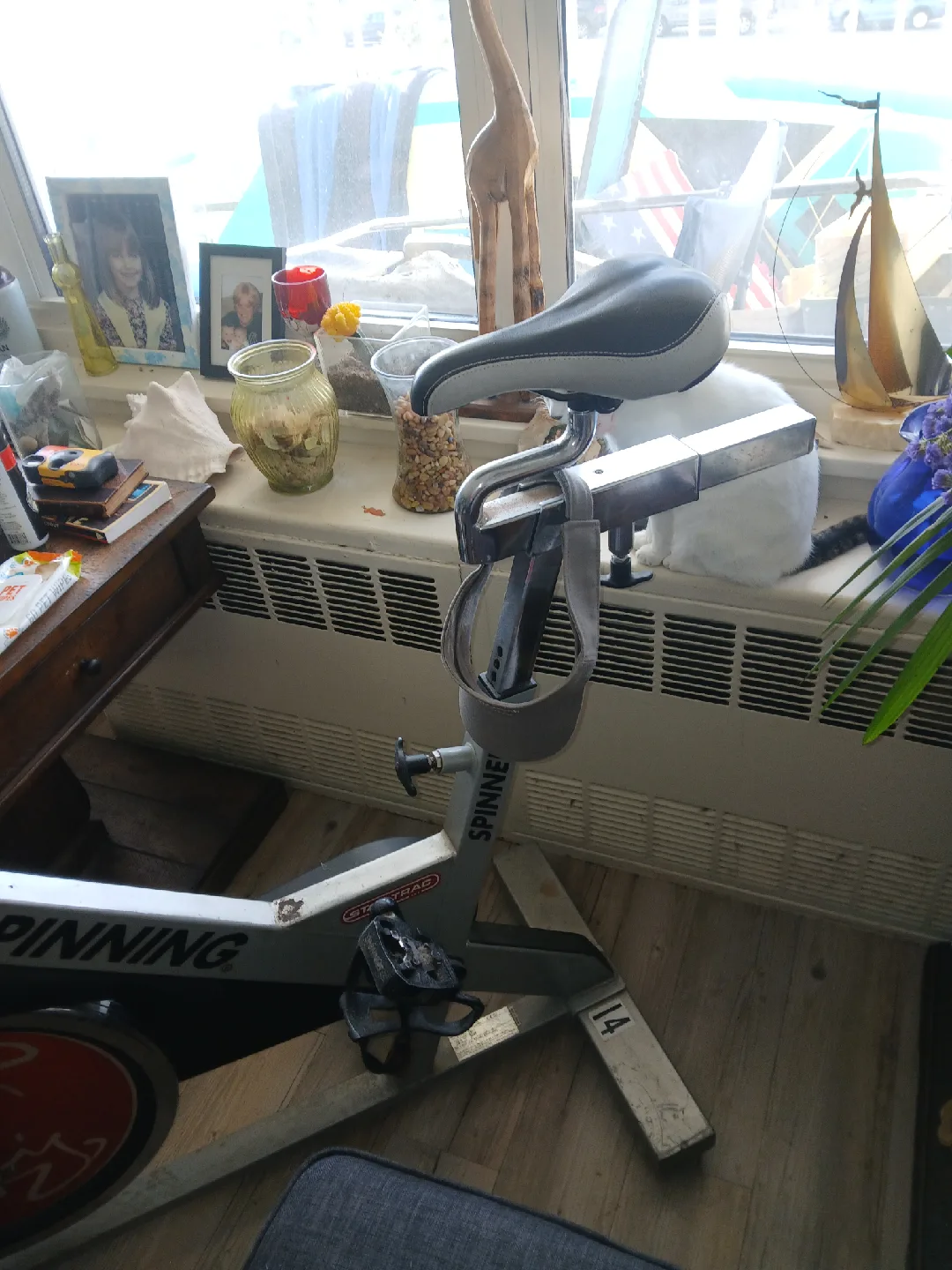 Spinning Stationary Exercise Bike/pro model image indicator(2)