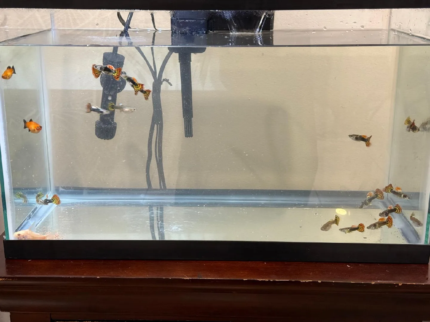 Aqueon LED 10 Aquarium Kit w/ Accessories image indicator(6)