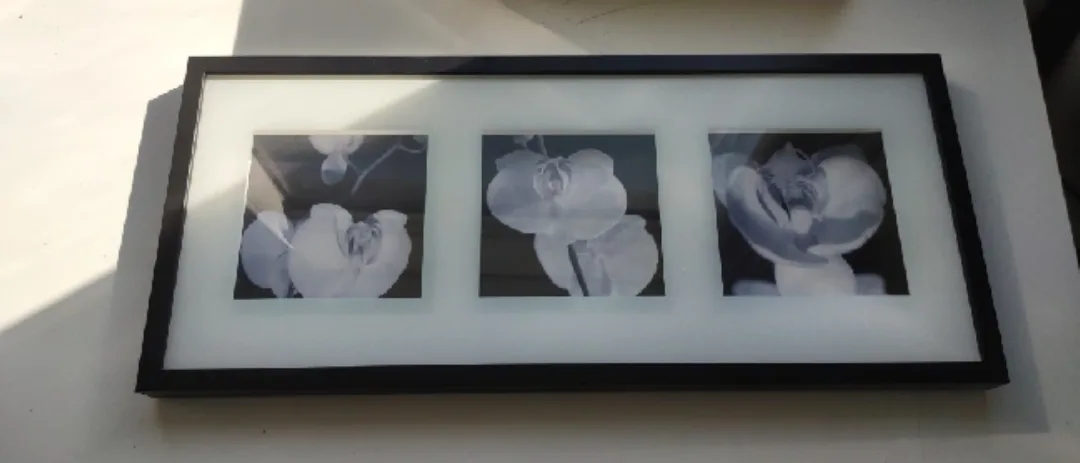 IKEA Black Framed Floral Triptych wooden Wall Art image indicator(7)